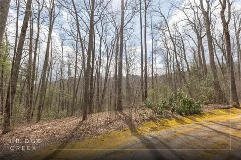 Lot 46 Skeen Mill Lane Cullowhee NC 28723