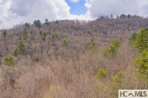 Lot 46 Skeen Mill Lane Cullowhee NC 28723
