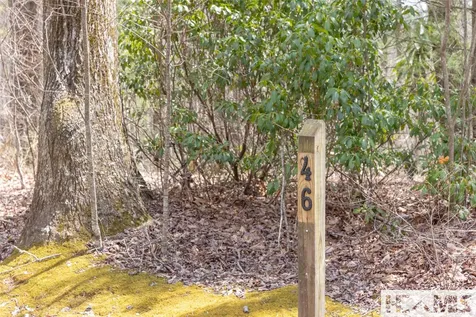 Lot 46 Skeen Mill Lane Cullowhee NC 28723