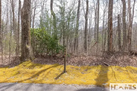 Lot 46 Skeen Mill Lane Cullowhee NC 28723
