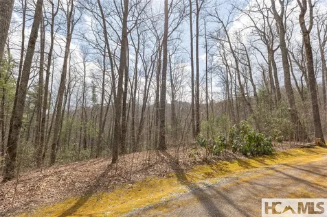 Lot 46 Skeen Mill Lane Cullowhee NC 28723