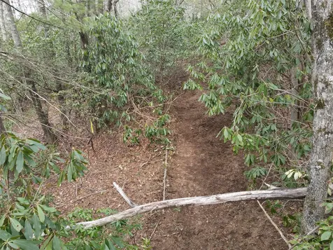 Sr 112 Breedlove Road Glenville NC 28736
