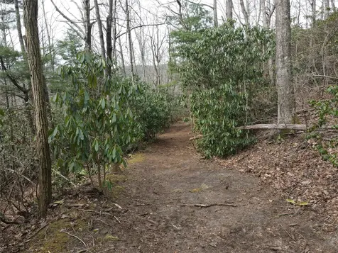Sr 112 Breedlove Road Glenville NC 28736