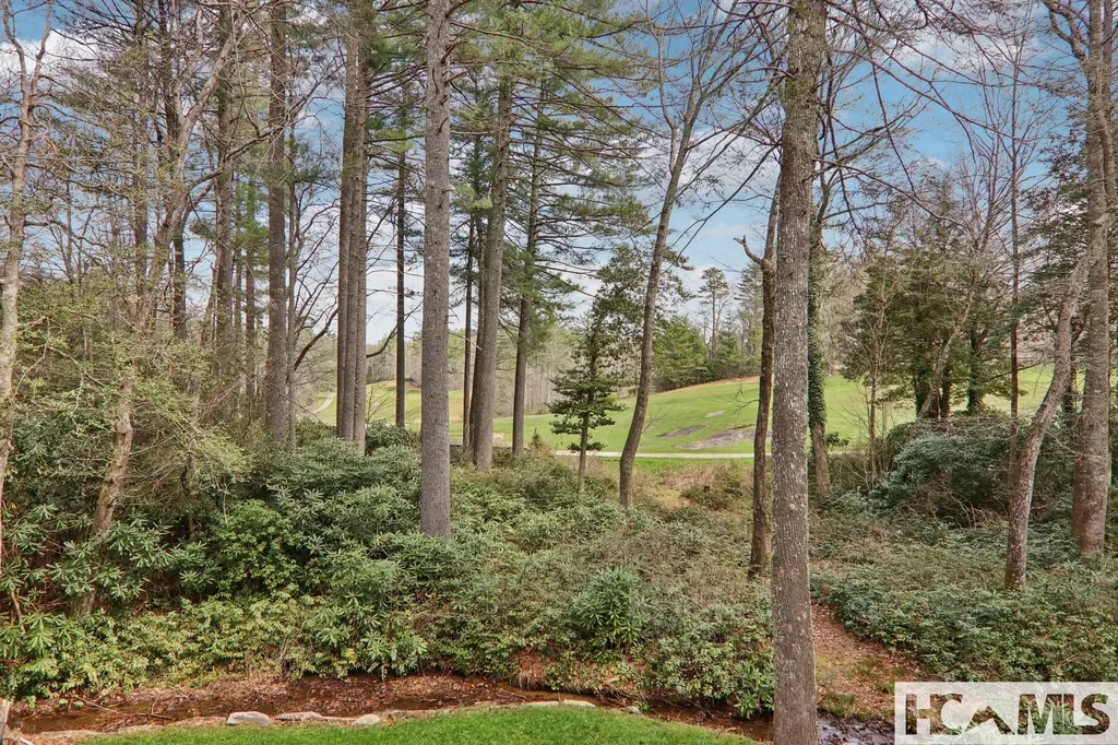 46 Mills Creek Drive Lake Toxaway NC 28747