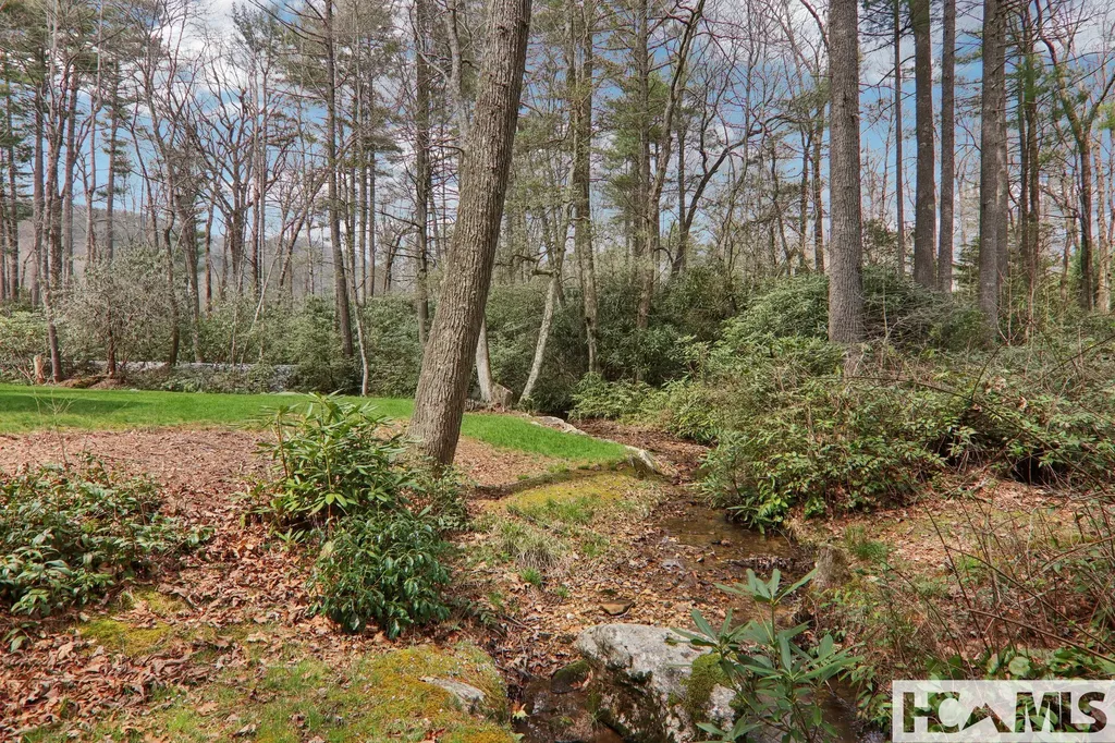 46 Mills Creek Drive Lake Toxaway NC 28747