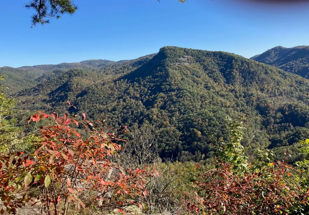 91 Waterdance Drive Cullowhee NC 28723