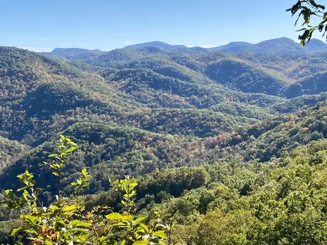 91 Waterdance Drive Cullowhee NC 28723