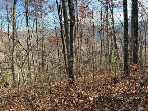 91 Waterdance Drive Cullowhee NC 28723