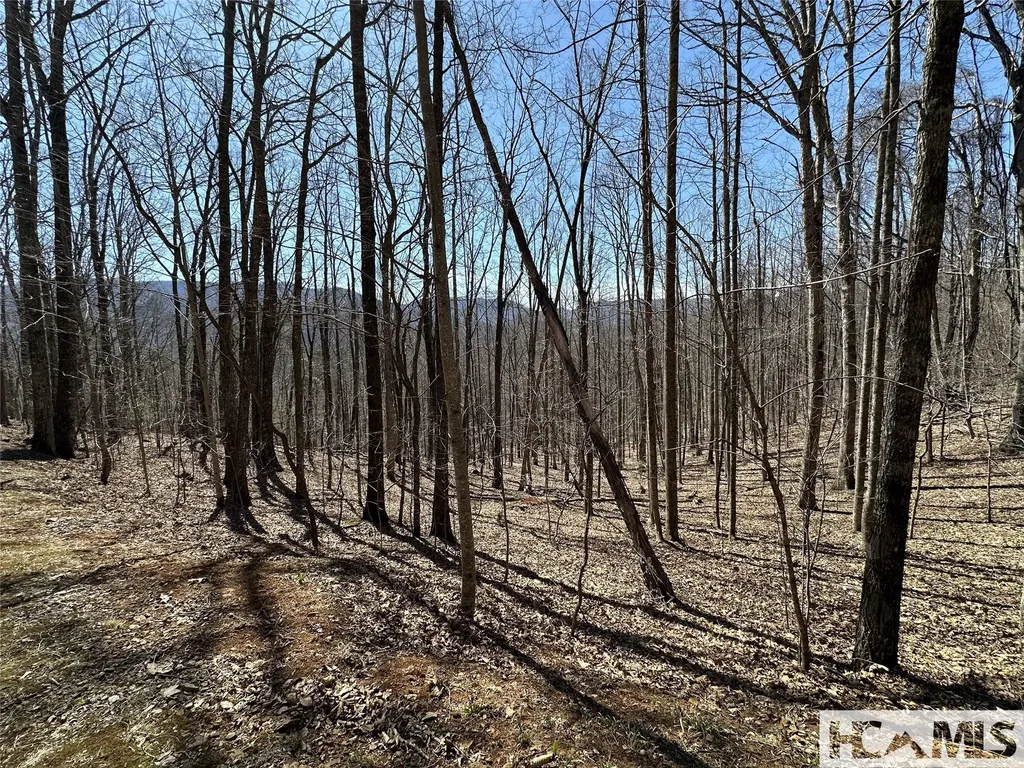 Lot 7 Eagle Point Franklin NC 28734