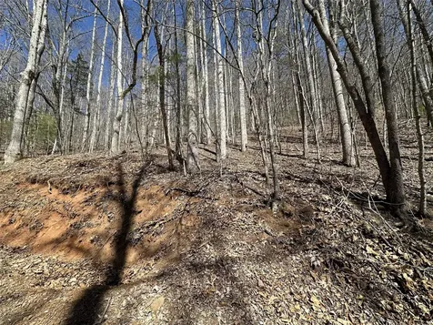Lot 7 Eagle Point Franklin NC 28734