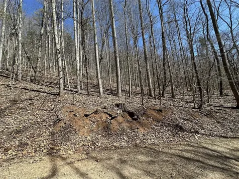 Lot 7 Eagle Point Franklin NC 28734