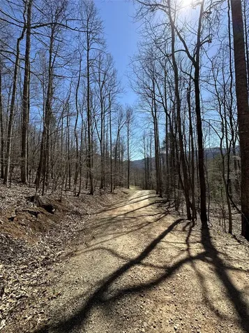 Lot 7 Eagle Point Franklin NC 28734