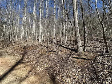 Lot 7 Eagle Point Franklin NC 28734