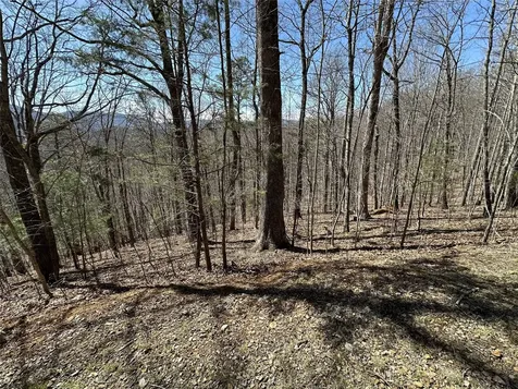 Lot 7 Eagle Point Franklin NC 28734