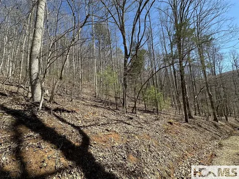 Lot 7 Eagle Point Franklin NC 28734