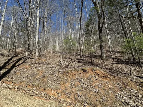 Lot 7 Eagle Point Franklin NC 28734
