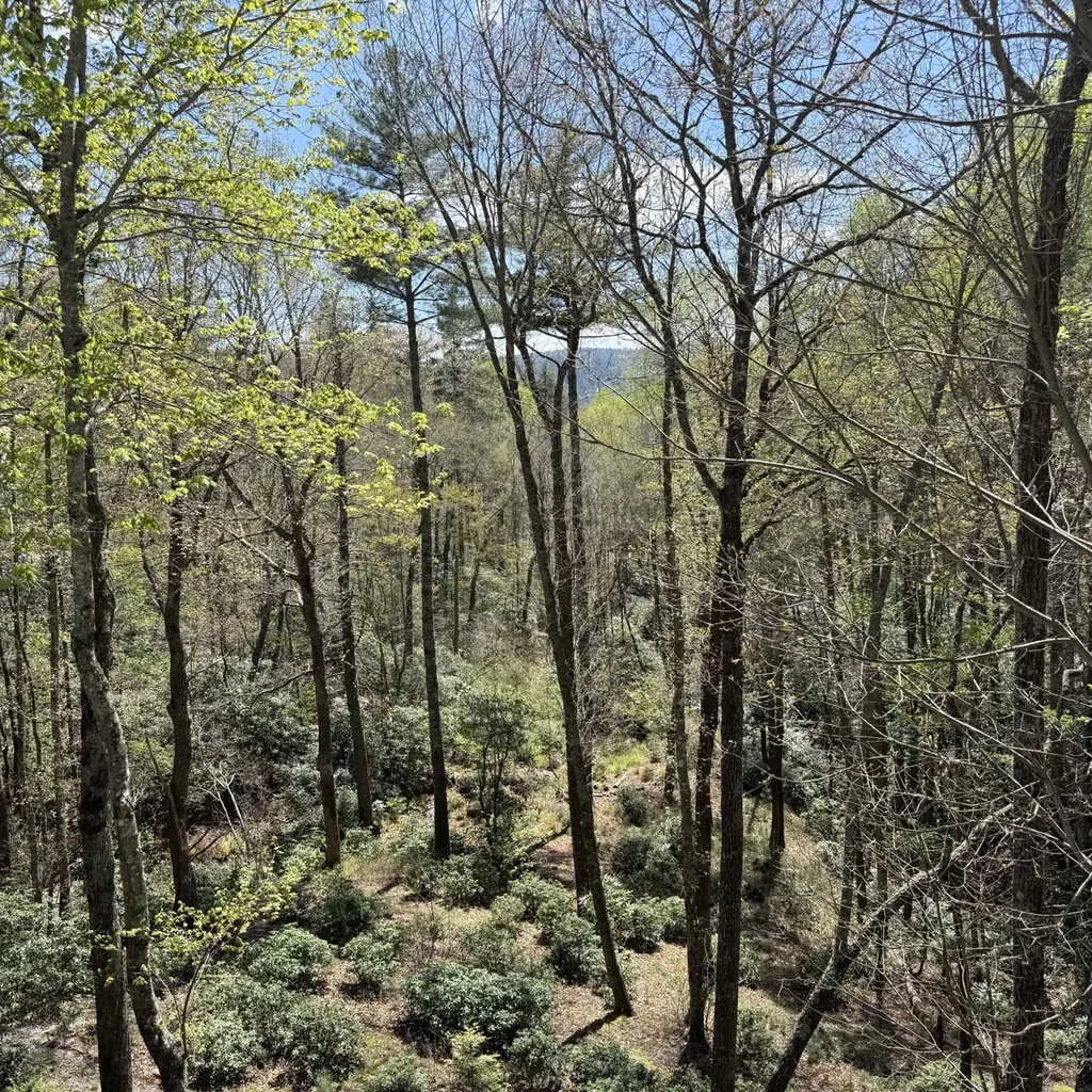 1245 Buckberry Drive Sapphire NC 28774