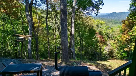 494 Lazy Lane Whittier NC 28789