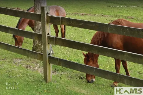 15 Equine Drive Sapphire NC 28774