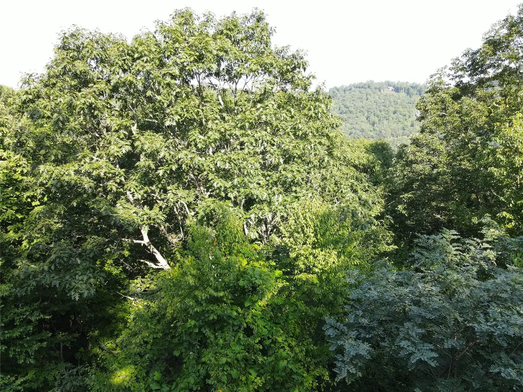 9 Old Forester Trail Cullowhee NC 28723