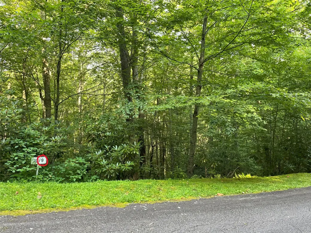 9 Old Forester Trail Cullowhee NC 28723