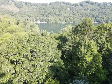 9 Old Forester Trail Cullowhee NC 28723