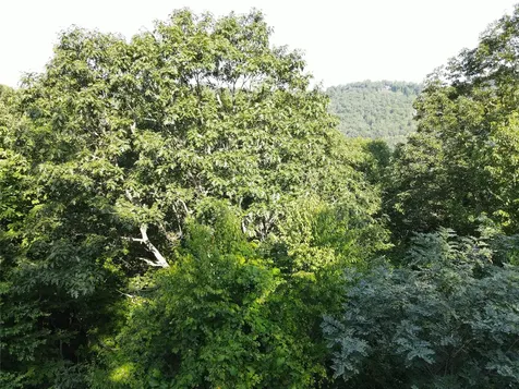 9 Old Forester Trail Cullowhee NC 28723