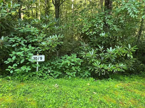 9 Old Forester Trail Cullowhee NC 28723