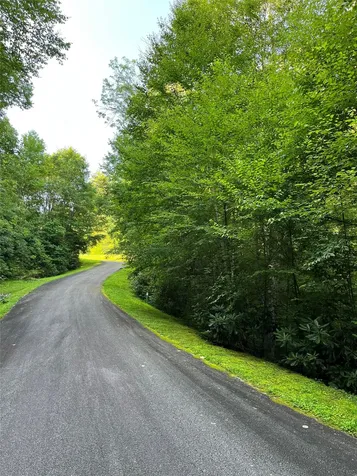 9 Old Forester Trail Cullowhee NC 28723