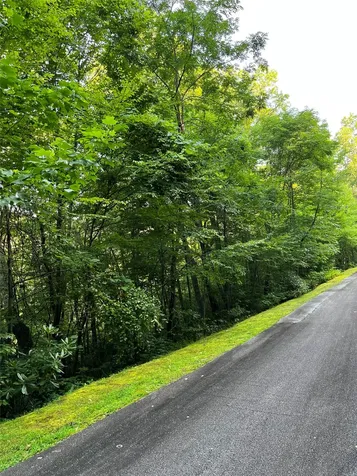 9 Old Forester Trail Cullowhee NC 28723