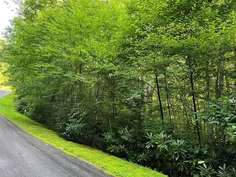 9 Old Forester Trail Cullowhee NC 28723
