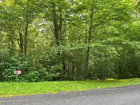 9 Old Forester Trail Cullowhee NC 28723
