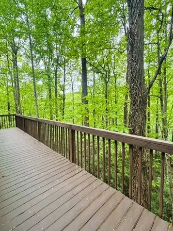 1752 Black Oak Drive Sapphire NC 28774