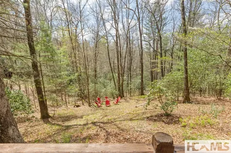 46 Poplar Court Sapphire NC 28774