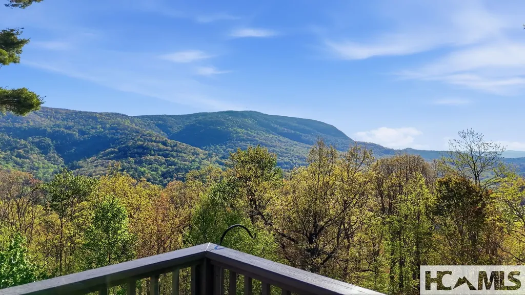 262 Trillium Court Sapphire NC 28774