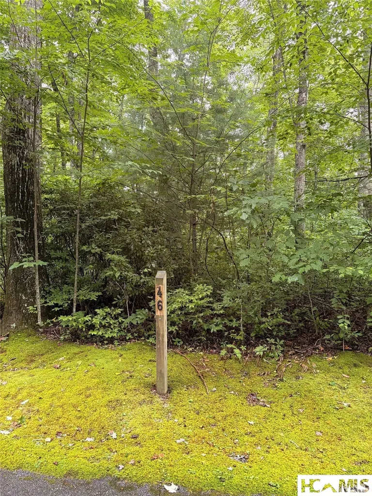 46 Skeen Mill Lane Cullowhee NC 28723