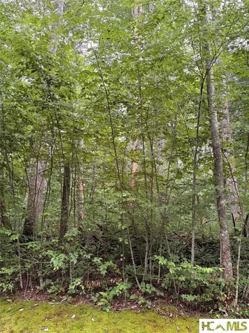 46 Skeen Mill Lane Cullowhee NC 28723