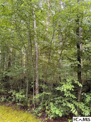 46 Skeen Mill Lane Cullowhee NC 28723