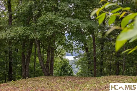 Lot 24 Greycliff Mountain Drive Cullowhee NC 28723