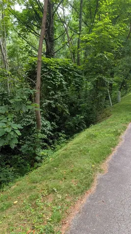 42 Greycliff Mountain Drive Cullowhee NC 28723