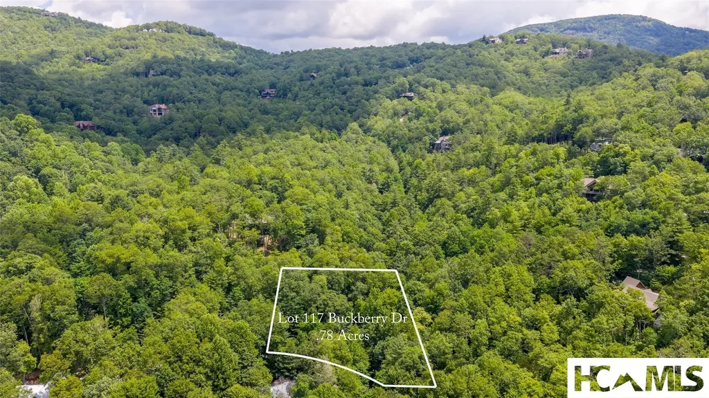 117 Buckberry Drive Sapphire NC 28774