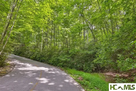 117 Buckberry Drive Sapphire NC 28774