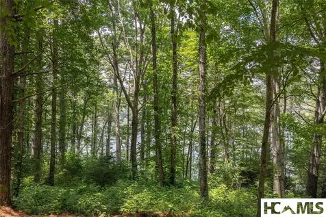 Lot 6 Buck Knob Island Glenville NC 28736
