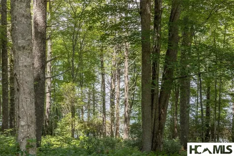 Lot 8 Buck Knob Island Glenville NC 28736