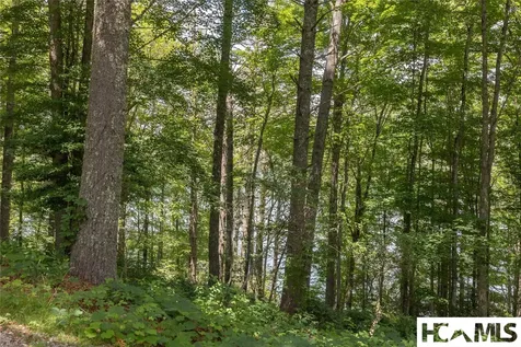 Lot 8 Buck Knob Island Glenville NC 28736