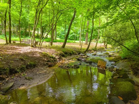 231 Cedar Creek Farm Road Tuckasegee NC 28783