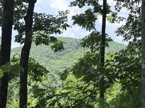 40 Roaming Road Glenville NC 28736