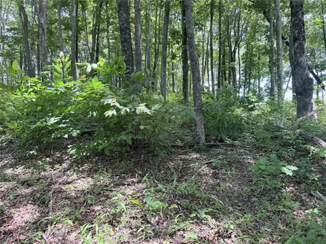 40 Roaming Road Glenville NC 28736