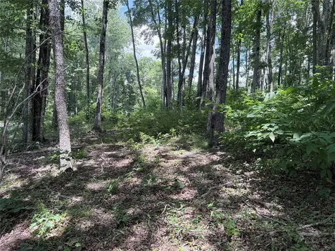 40 Roaming Road Glenville NC 28736