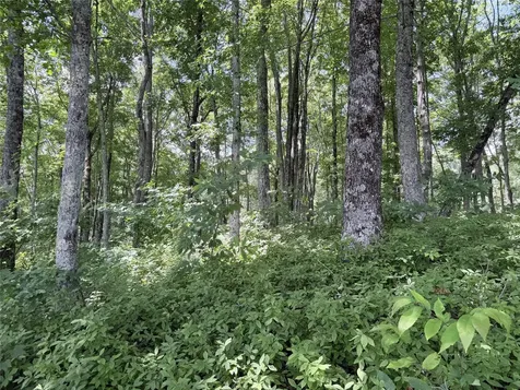 40 Roaming Road Glenville NC 28736